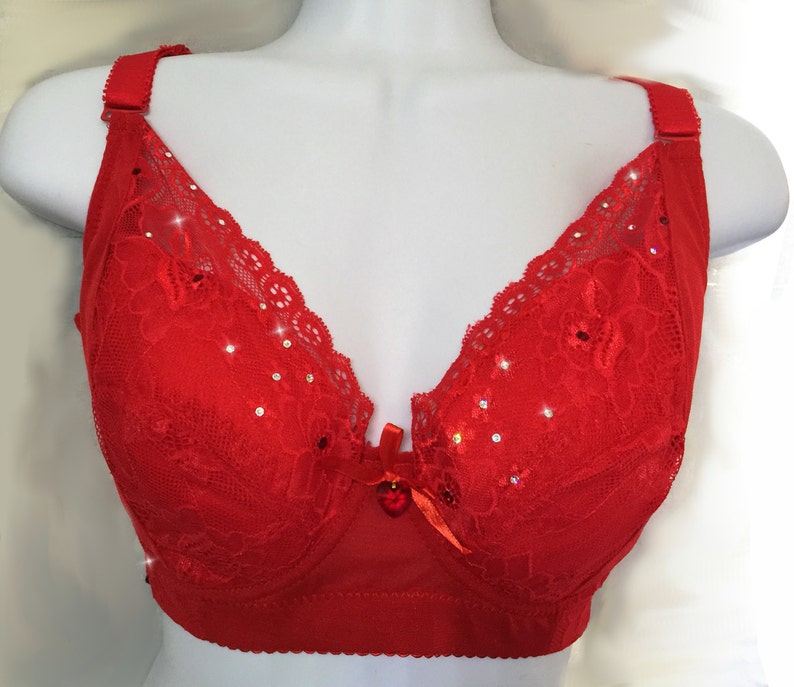 Rich Red Valentine's Day Swarovski Crystal Bra with Lace 40E image 1