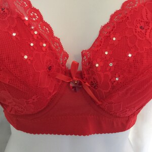 Rich Red Valentine's Day Swarovski Crystal Bra with Lace 40E image 3