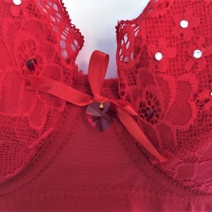 Rich Red Valentine's Day Swarovski Crystal Bra with Lace 40E image 5