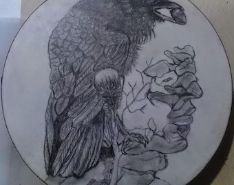 Cuervo de los Sueños