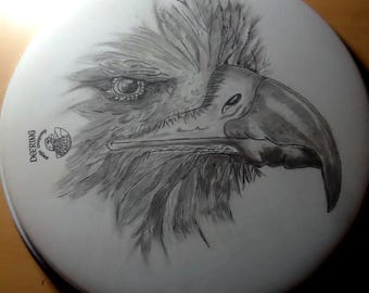 Hawk | Banjo Head Design