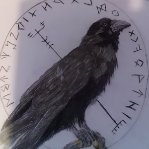 Ocean Drum | Crow Design | Nordic Elements | Animal Drawing | Sound of the Ocean | Relaxing Sound