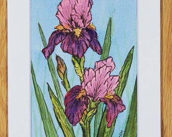 May include: Watercolour painting of two pink and purple iris flowers with green leaves on a light blue background. The artist's signature "JAM" is in the bottom right corner.