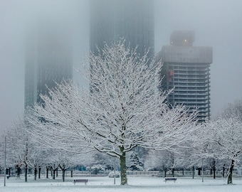 SNOWY TREE PHOTOGRAPH, landscape photo in 21x29.5cm mount, a4 wall art