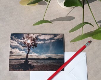 LOCH LOMOND SUNBURST, Scotland lonely tree photography card, Millarochy Bay photograph, blank greetings card