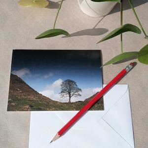SYCAMORE GAP, Fotografie, Karte, Baum des Mandelbaums, blanko Grußkarte