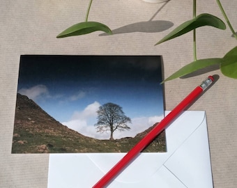 SYCAMORE GAP, photography card, Hadrian's Wall tree, blank greetings card