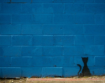 CAT URBAN ART photograph photo in 21x29.5cm mount, A4 wall art, cat print, urban art photograph, graffiti photo