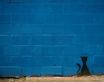 CAT URBAN ART photography card, painted black cat photograph, blank greetings card