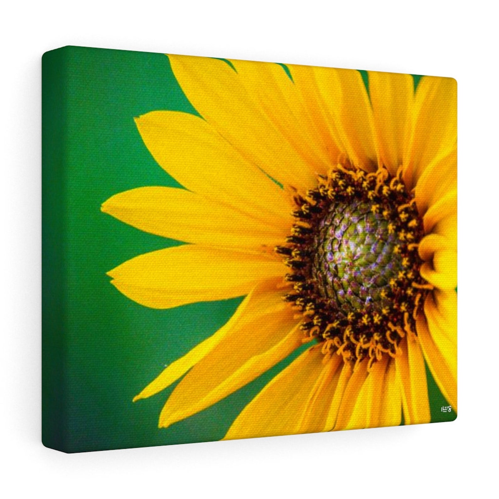 Kansas Sunflower Canvas Wall Art Etsy