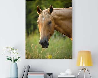 Horse Eating in a Pasture in Kansas Canvas Wall Art