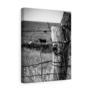 Kansas Prairie Canvas Wall Art image 5