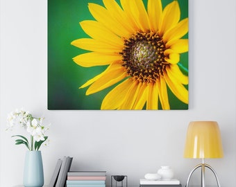 Kansas Sunflower Canvas Wall Art