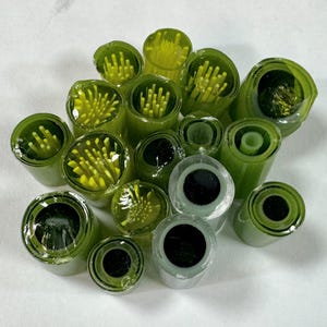 Fused glass murrini slices using Bullseye glass 90 COE -- Green Versions - 1 oz packs