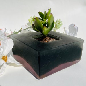 May include: A square concrete planter with a black and purple ombre finish. The planter has a square opening in the center and a small succulent plant growing inside.