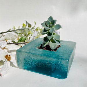 Small Contemporary Modern Turquoise Ocean Glass planter with Bubbles - Succulant Included