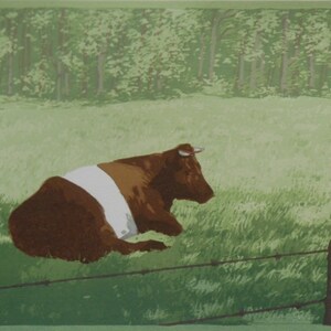 Cow in landscape