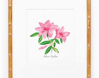 Georgia Azalea Watercolor Print