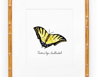 Georgia Butterfly Watercolor Print