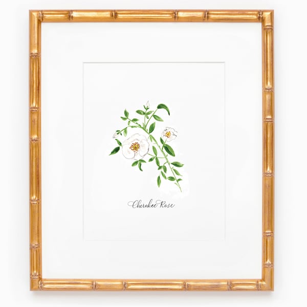 Georgia Cherokee Rose Watercolor Print