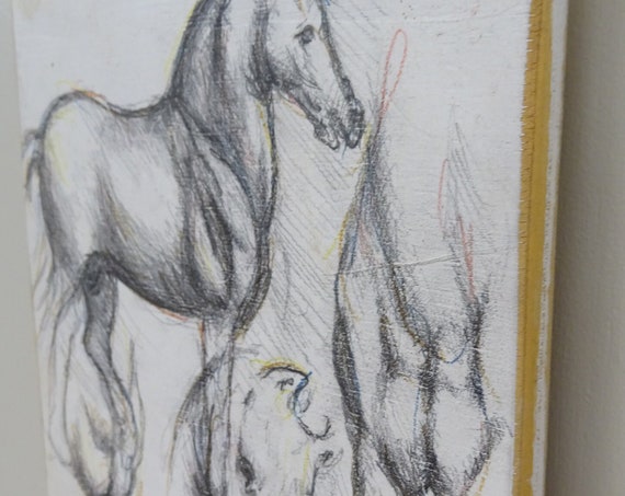 HORSES. Graphite pencil drawing and colored pencils on prepared board. Frame dimensions 33cm x 43cm // 13" x 17"