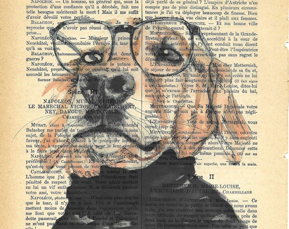 FRIENDLY DOG Mr. Smith. Printed drawing on original recycled page of the French publication La Petite Illustration of the year 1920.