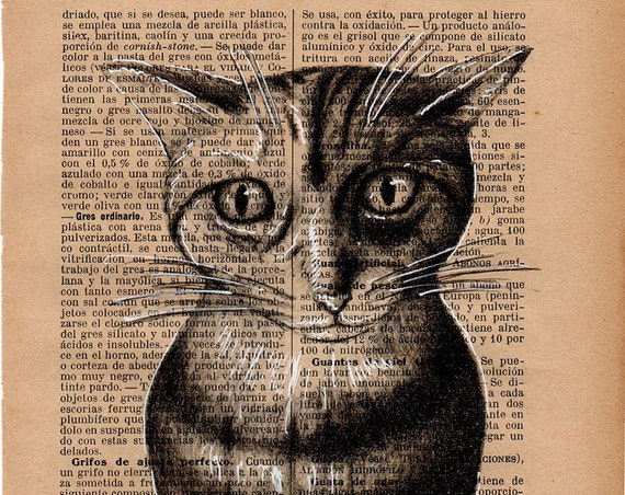 Cat nº 6. Printed drawing on the original page of the "Modern Industrial Encyclopedia" of the 1930s