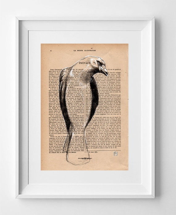 CROW Nº1. Vintage 1920 French Illustration: Crow Drawing in Pencil and White Ink on Original La Petite Illustration Page - 28x19cm.