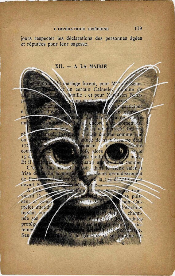 Brown kitten, Vintage Book Page Cat Art Print: Unique Original Drawing on Antique Paper - 12x18cm Vintage dog print decor