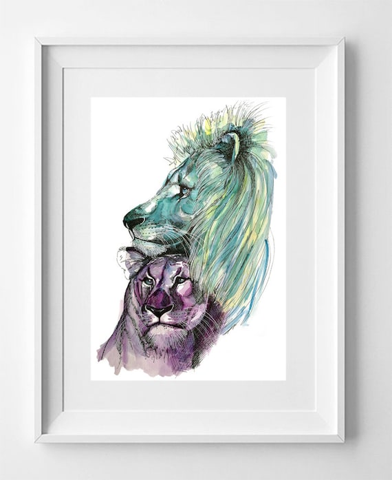 LIONS. Drawing printed on high quality paper. Wild animals collection drawing.