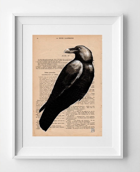 CROW Nº12. Vintage French Crow Drawing: 1920 La Petite Illustration Page, White Ink and Pencil Artwork - 28 x 19cm.