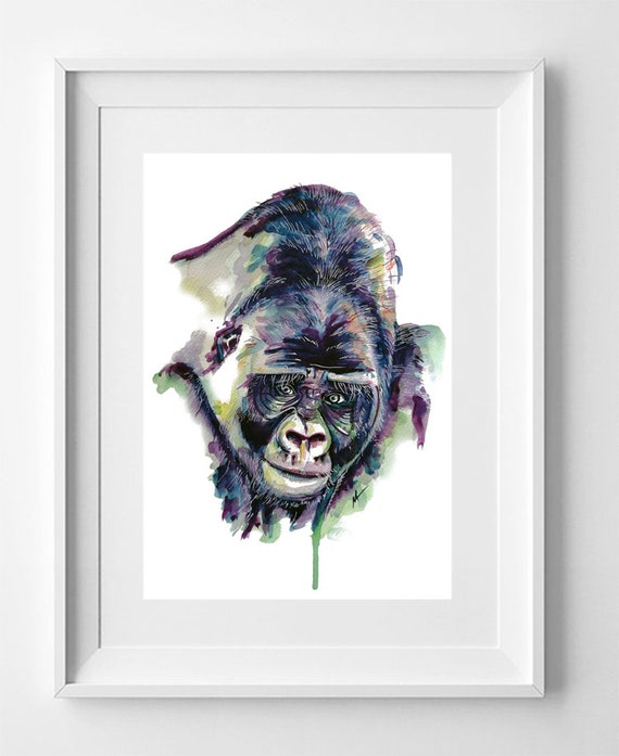 GORILLA. Drawing printed on high quality paper. Wild animals collection drawing.