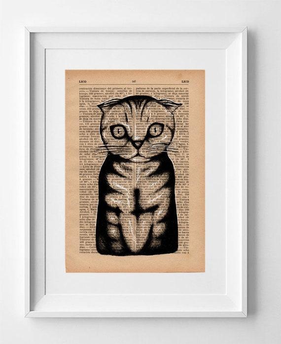 Cat nº 5. Printed drawing on original page of the "Modern Industrial Encyclopedia" from the 1930s