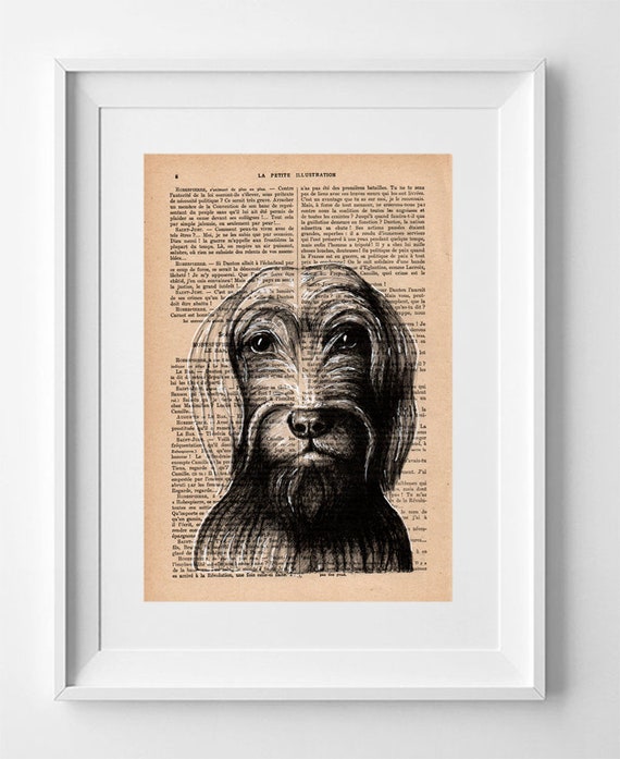 Vintage French Book Page Print: English Cocker Spaniel Dog Art Drawing - Felipe, Original Artwork 28x19cm.