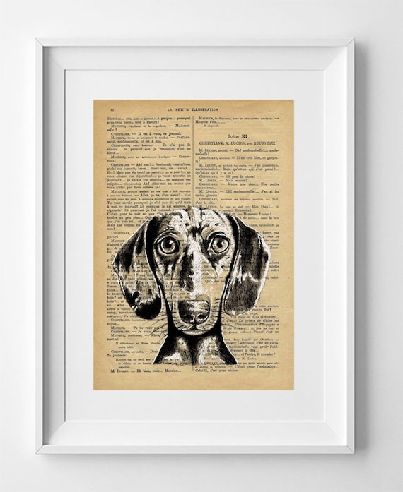 TRUFFLE Dachshund Dog, Print on French Vintage Book Page, Artwork Printed on Book, Original Dog Drawing, Wall Decor.