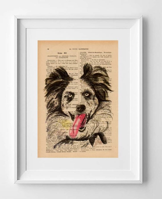 Charming Border Collie Print on Vintage French Book Page - Original Dog Artwork 28x19cm