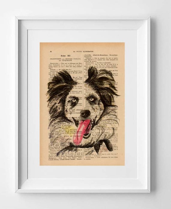 Cute Border Collie ARES Dog, Print on French Vintage Book Page, Artwork Printed on Book, Original Dog Drawing.