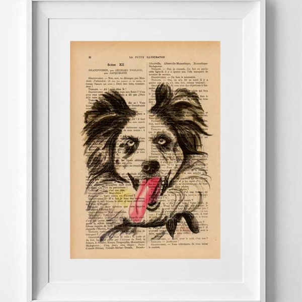 Perro Simpático Border Collie ARES, Print en página de libro vintage francés, Obra de arte Impreso en libro, Dibujo de perro original.