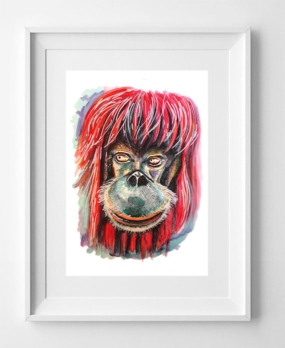 ORANGUTAN. Drawing printed on high quality paper. Wild animals collection drawing.