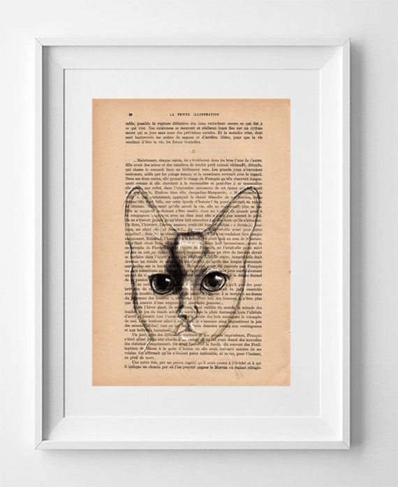 CAT, Print on French Vintage Book Page, Artwork Printed on Book, Original Cat Drawing, Wall Decor.
