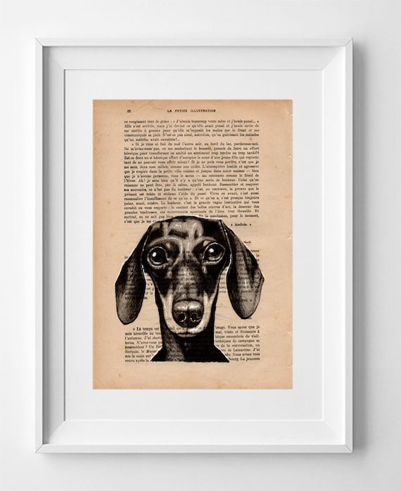 Dachshund Dog, Print on French Vintage Book Page, Artwork Printed on Book, Original Dog Drawing, Wall Decor.