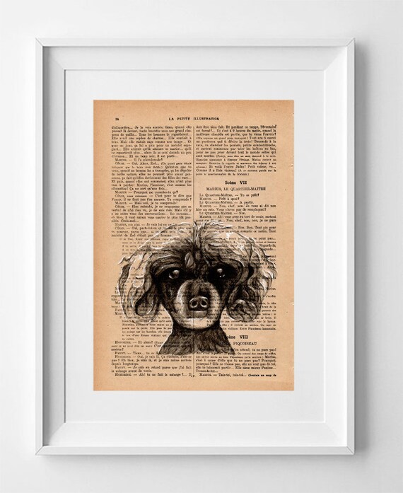 HUMA Poodle Dog, Print on French Vintage Book Page, Artwork Printed on Book, Original Dog Drawing, Wall Decor.