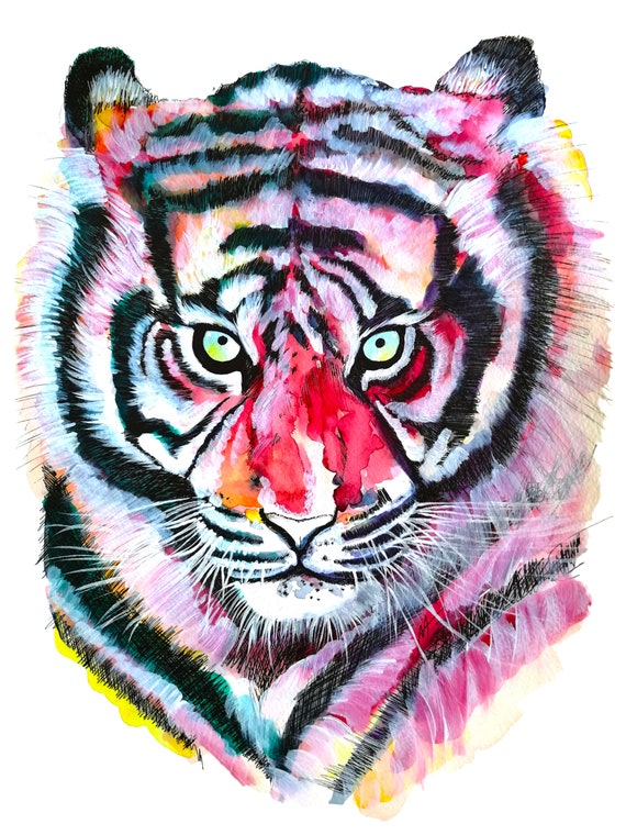 TIGER. Printed drawing on high quality paper. Drawing of the collection of wild animals.