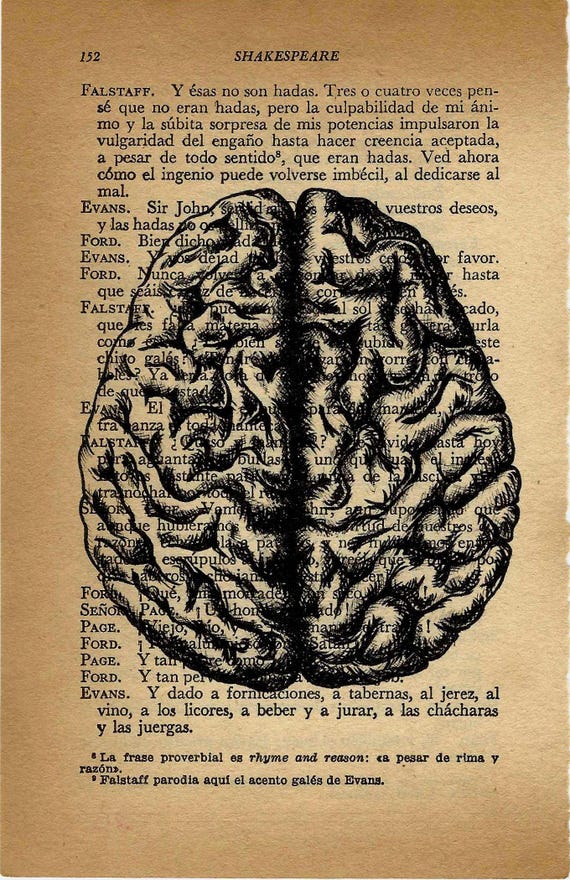 Brain, Vintage Book Page Mini Print: Original Anatomical Brain Art on Antique Paper - 12 x 18cm. vintage art for home decor