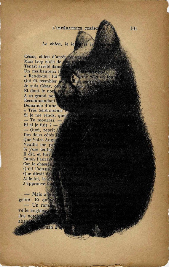 MINI PRINT Pussycat, Vintage Book Page Mini Print: Original Hand-Drawn Cat Artwork, Unique Pet Portrait Wall Decor - 18 x 12cm.