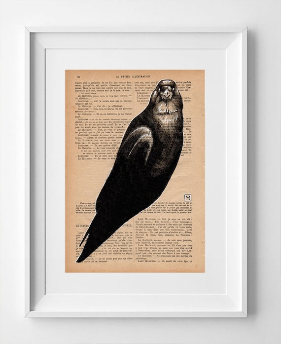 CROW Nº13. Vintage French Crow Drawing: 1920 La Petite Illustration Page, White Ink and Pencil Artwork - 28 x 19cm.