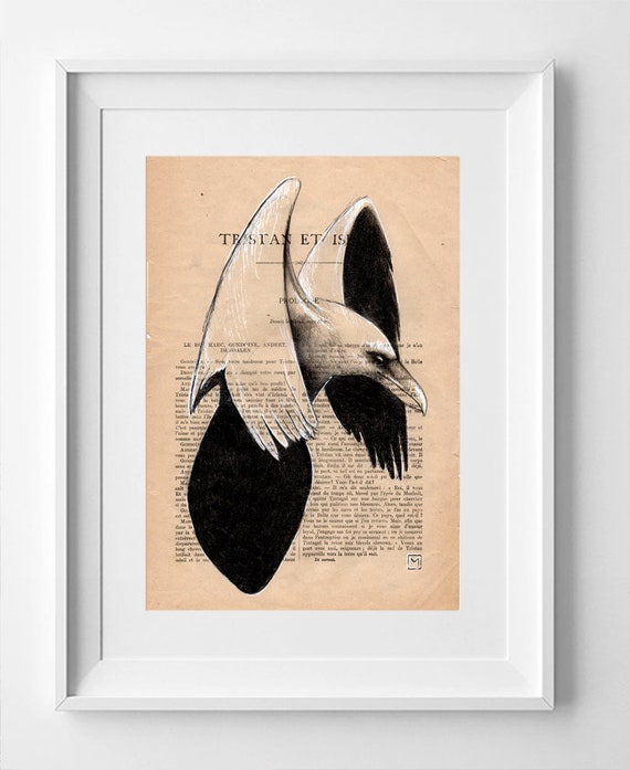 CROW Nº9. Vintage French Crow Drawing: 1920 La Petite Illustration Page, White Ink and Pencil Artwork - 28 x 19cm.