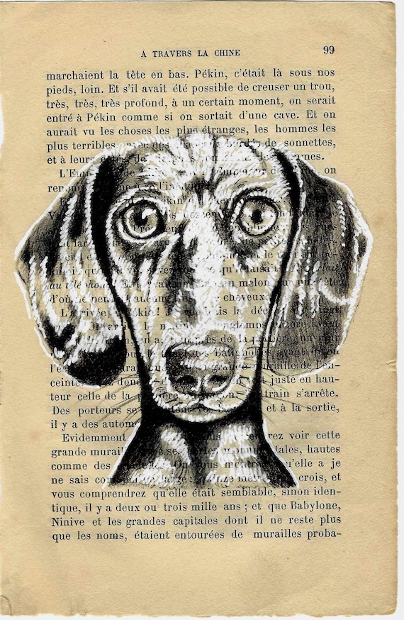 Dog dachshund, Charming Dachshund Sketch on Vintage Book Page - Unique Mini Dog Art Print for Dog Lovers - 12x18cm. Vintage dog print decor.