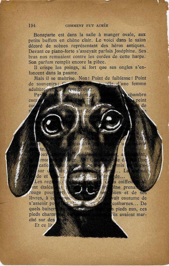 MINI PRINT dachshund, Vintage Book Page Mini Print: Original Teckel Dachshund Dog Drawing - Antique Literary Art Decor - 12x18cm.