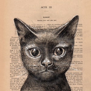 Vintage Franse boekpagina: tekening van zwarte kat - originele wanddecoratie 28x19cm.